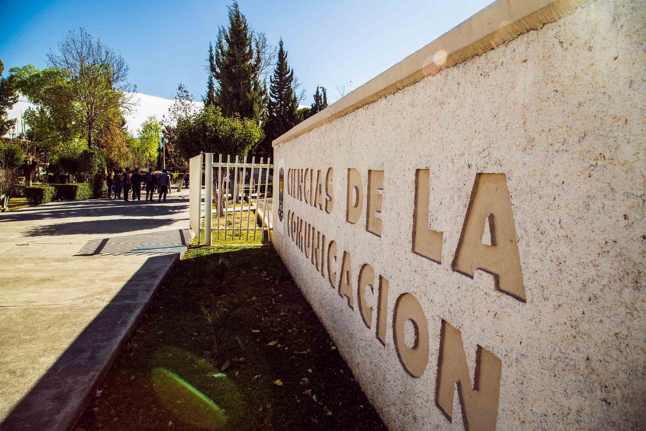 UNIVERSITARIOS – El Heraldo de Saltillo