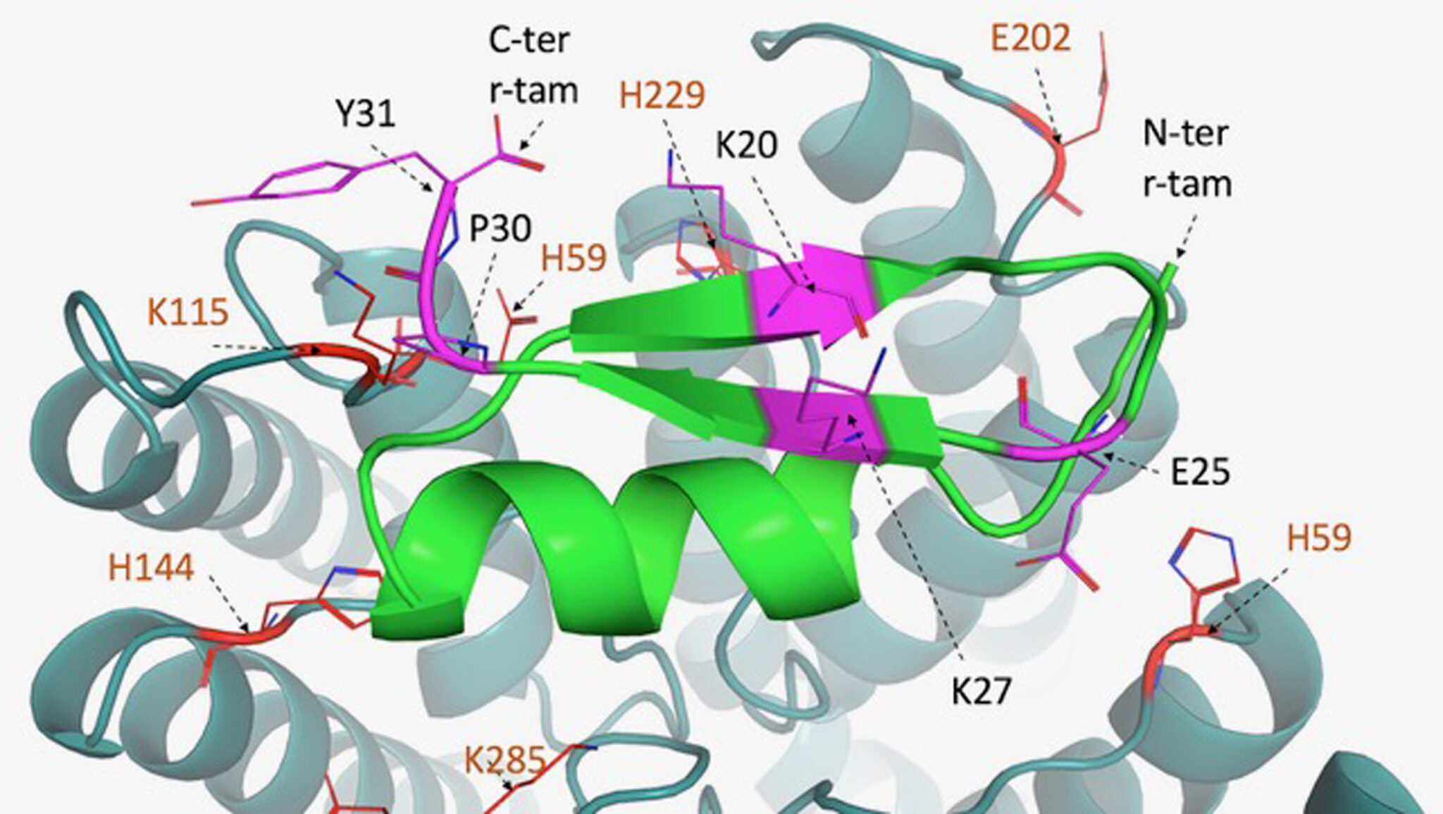 MEXICO El Heraldo de Saltillo