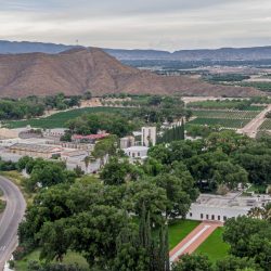 Daniel Garza Tobón una mirada a los viñedos de Coahuila desde su lente2