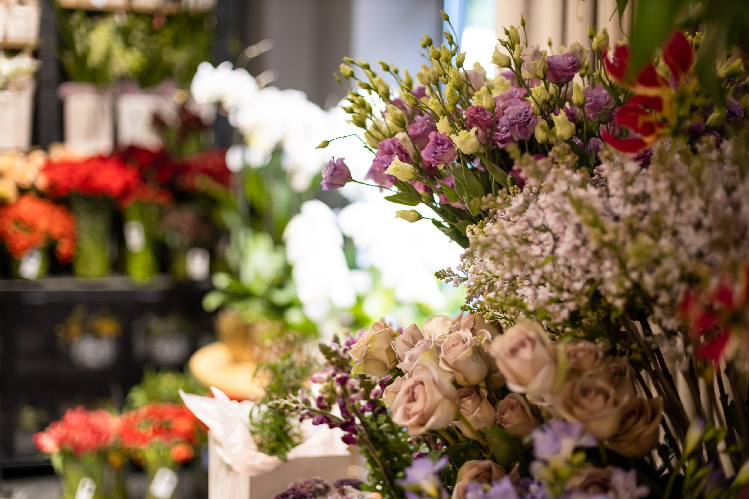 Florerías en Guadalajara; conozca las tiendas más económicas y de la más  alta calidad de la ciudad | El Heraldo de Saltillo