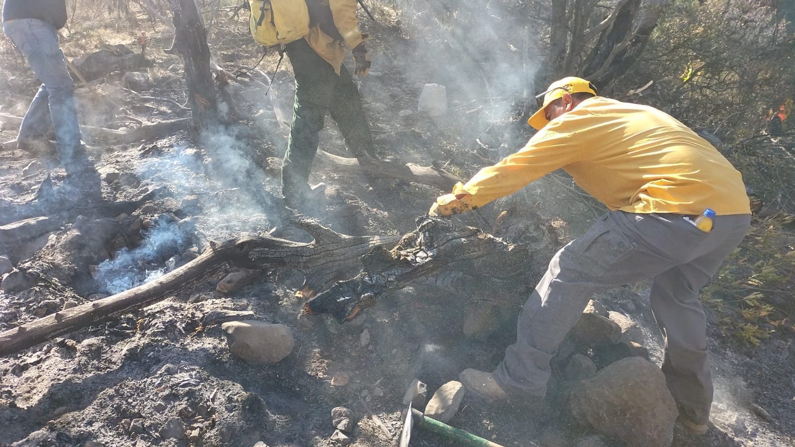 Policía ambiental y Bomberos controlan conato de incendio en Sierra