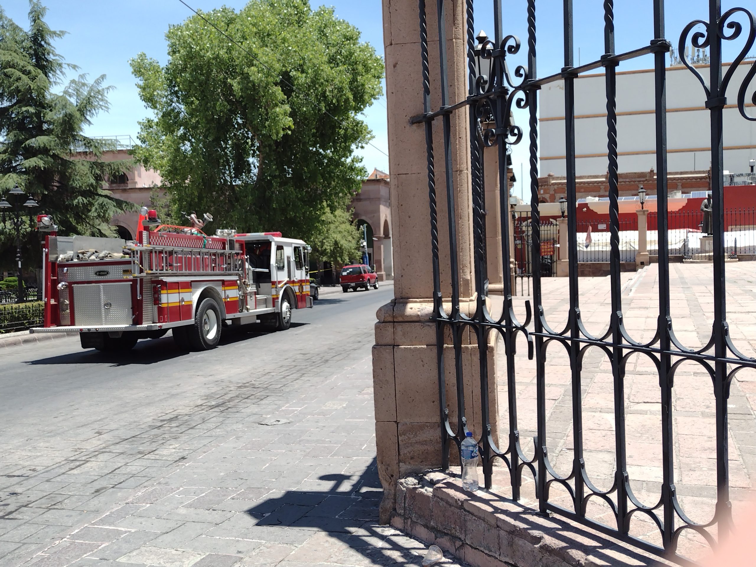 PC de Saltillo atiende reporte de abejas en Catedral